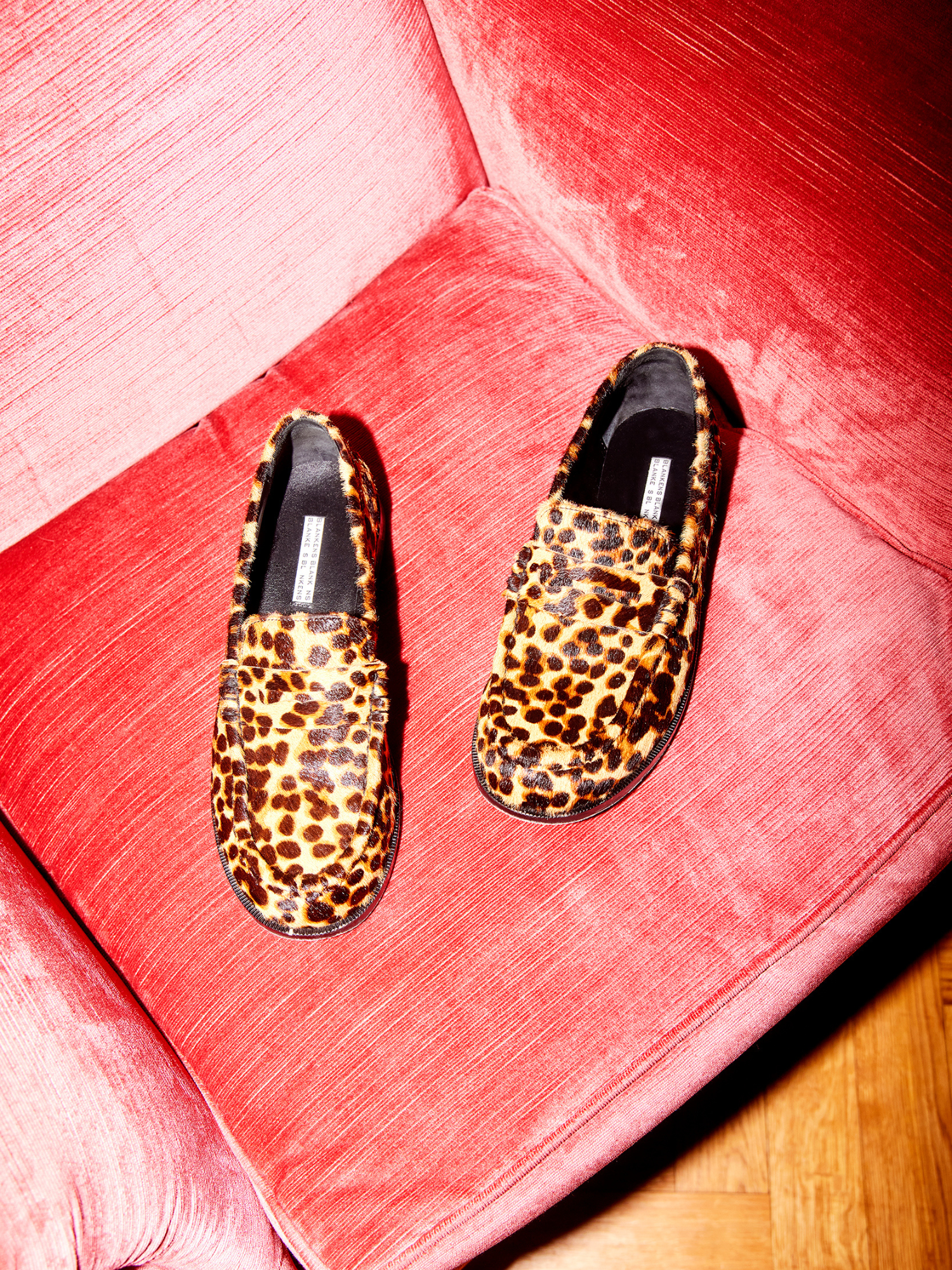 Blankens The Celeste Leopard