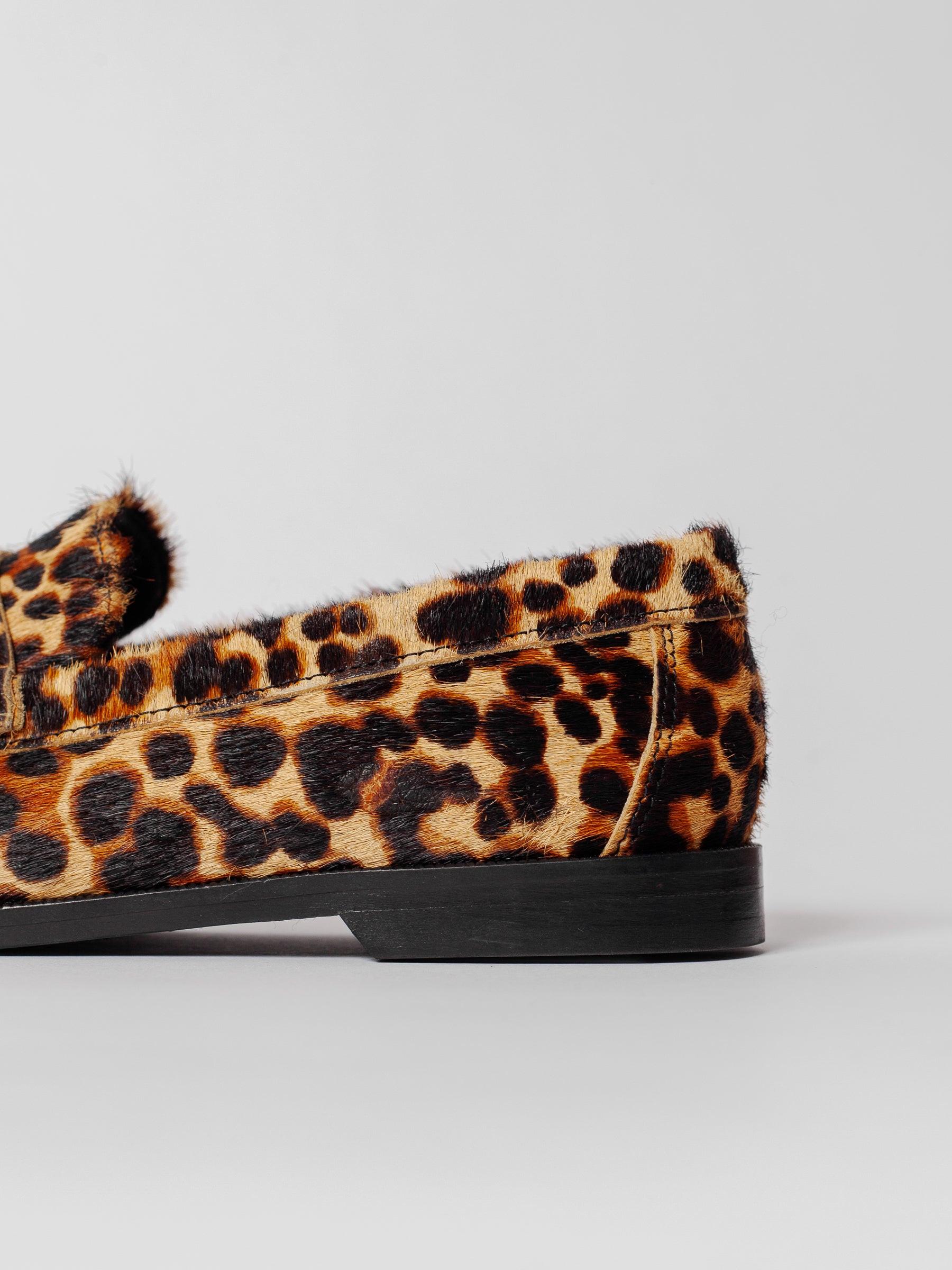 Blankens The Celeste Leopard