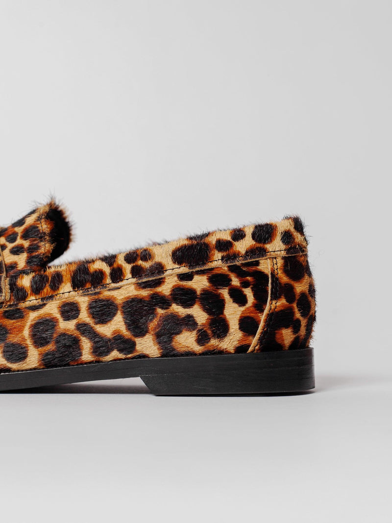 Blankens The Celeste Leopard