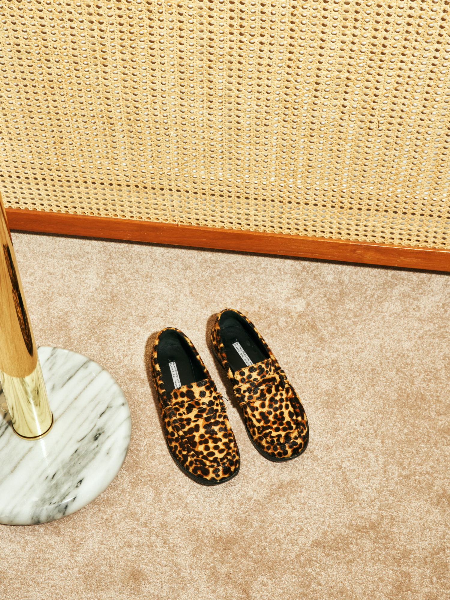 Blankens The Celeste Leopard