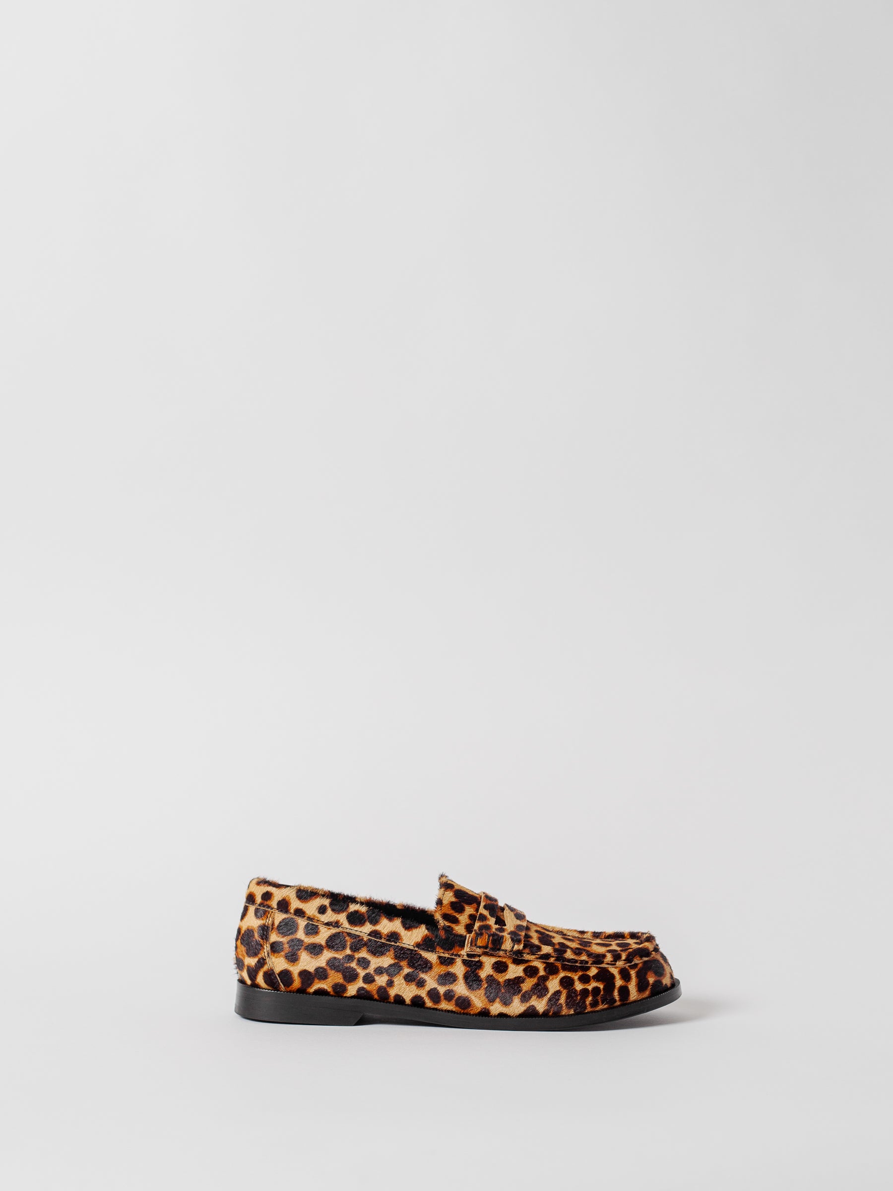 THE CELESTE LEOPARD