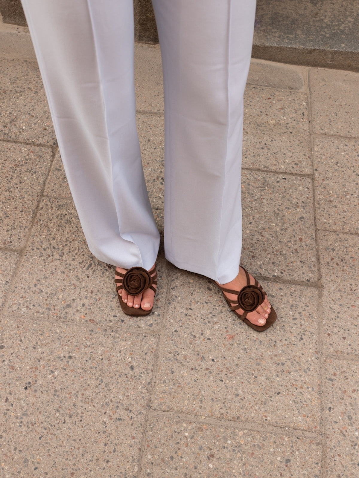 Blankens Chocolate Brown Clip-On Rose