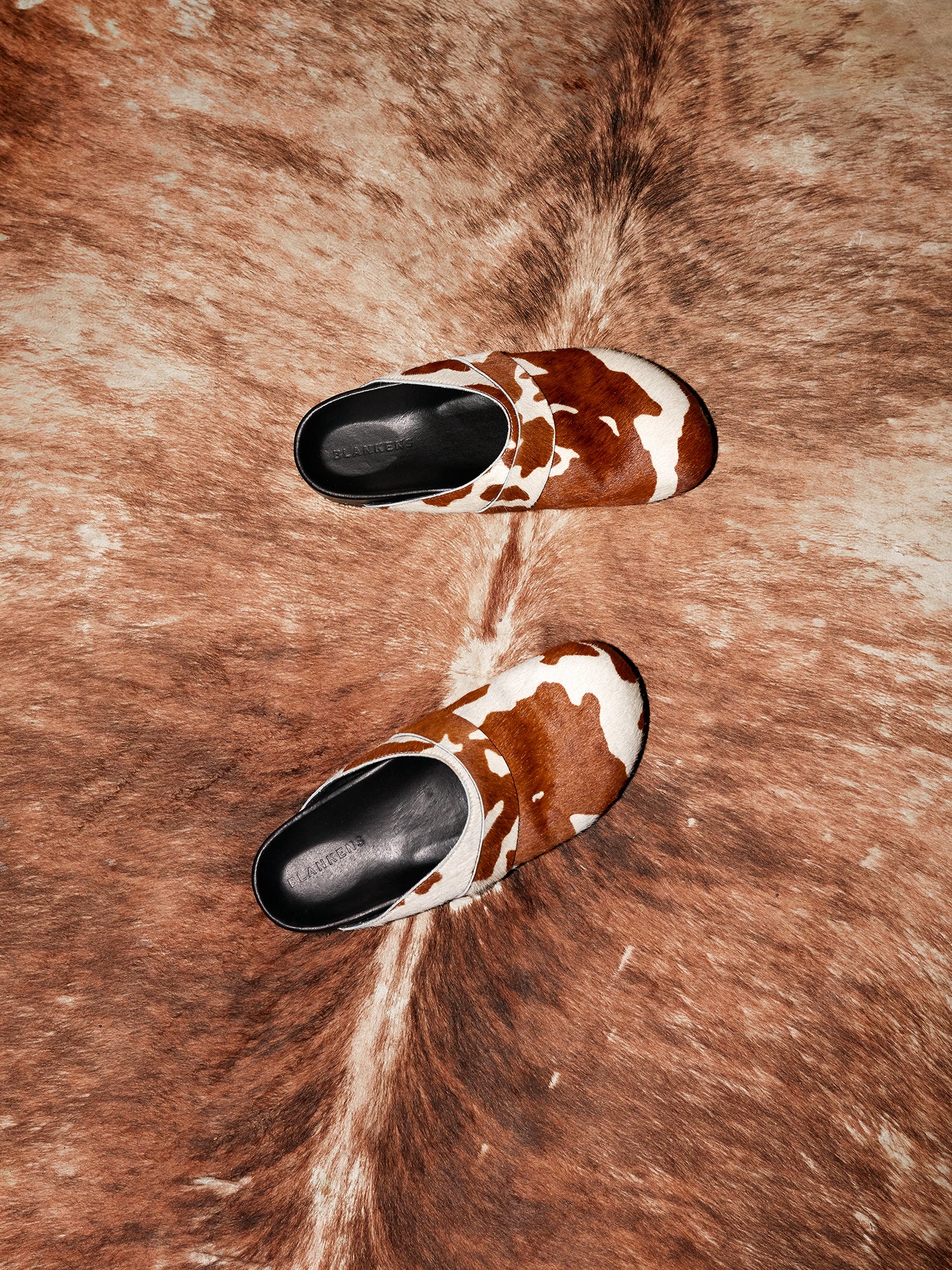 Blankens The Monika Ranch